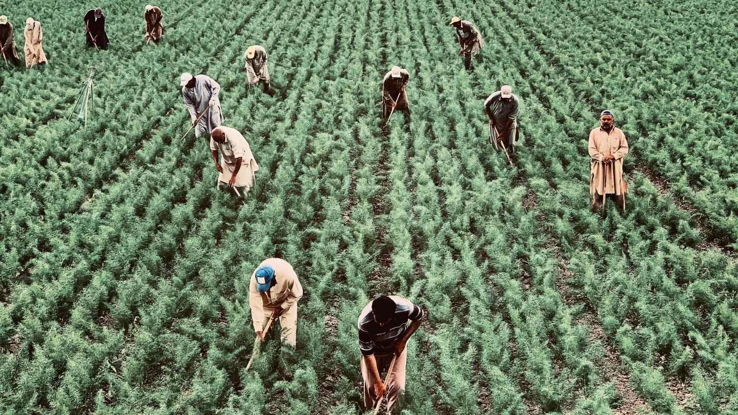 Sustainable Permaculture